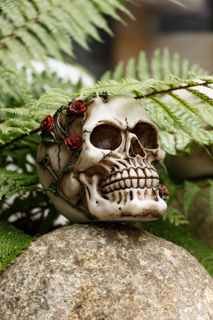 Tête de squelette avec des roses